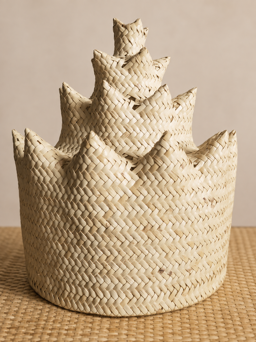 Ketapu Rotan